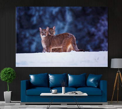 Cougar American Puma in Winter Forest Canvas Print ArtLexy 1 Panel 24"x16" inches 
