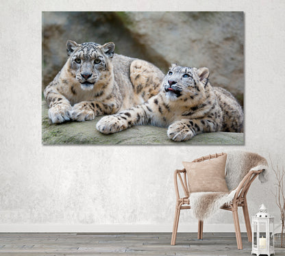 Snow Leopard Couple Canvas Print ArtLexy 1 Panel 24"x16" inches 