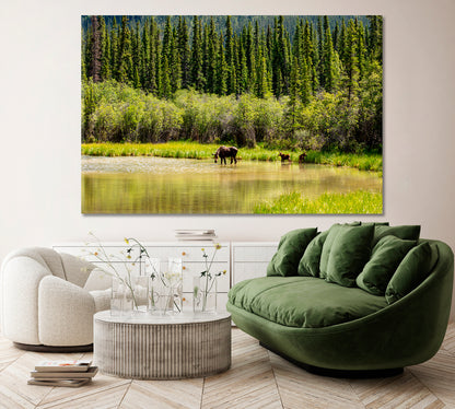 Moose in Tongass National Forest Alaska Canvas Print ArtLexy 1 Panel 24"x16" inches 
