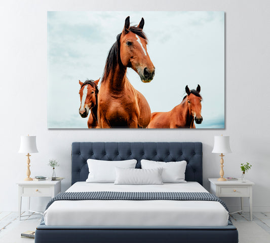 Free Horses Canvas Print ArtLexy 1 Panel 24"x16" inches 