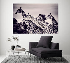 Giraffes in Black and White Canvas Print ArtLexy 1 Panel 24"x16" inches 