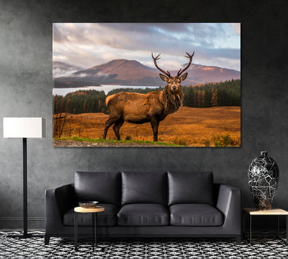 Wild Scottish Stag in Natural Habitat Canvas Print ArtLexy 1 Panel 24"x16" inches 