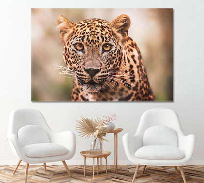 Ceylon Leopard Canvas Print ArtLexy 1 Panel 24"x16" inches 