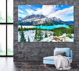 Peyto Lake in Banff National Park Alberta Canada Canvas Print ArtLexy 1 Panel 24"x16" inches 
