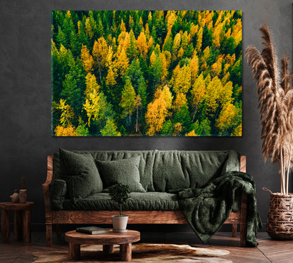 Top View of Finland Autumn Forest Canvas Print ArtLexy 1 Panel 24"x16" inches 
