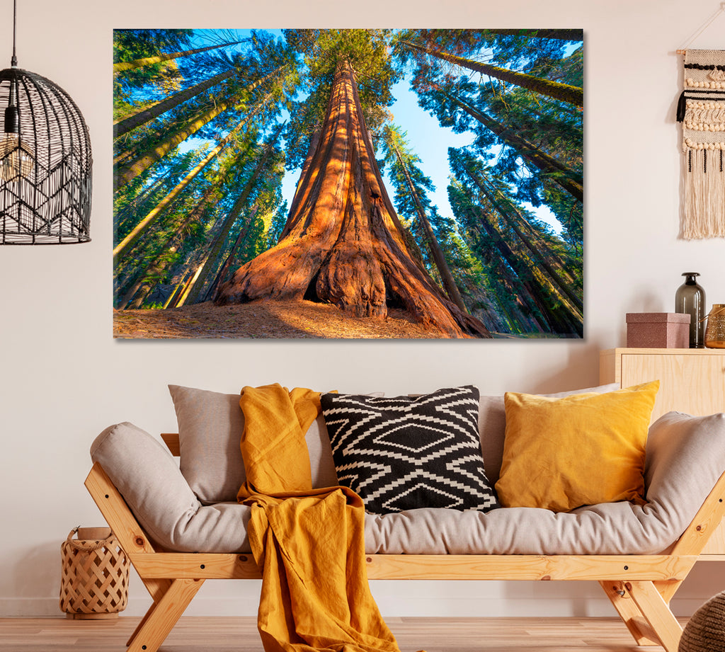 Giant Sequoia Trees in Sequoia National Park USA Canvas Print ArtLexy 1 Panel 24"x16" inches 