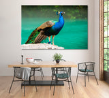 Peacock at Blue Lake in Abkhazia Canvas Print ArtLexy 1 Panel 24"x16" inches 