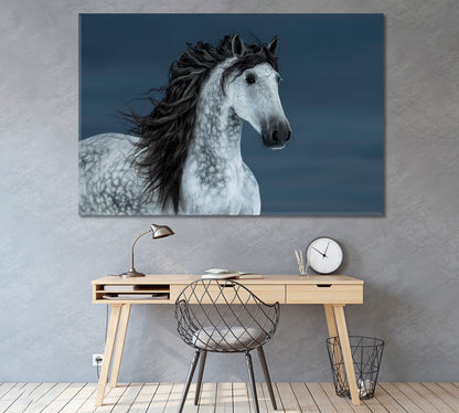 Portrait of Andalusian Horse Canvas Print ArtLexy 1 Panel 24"x16" inches 