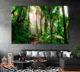 El Yunque National Forest Puerto Rico Canvas Print ArtLexy 1 Panel 24"x16" inches 