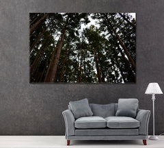 Japanese Cedar Forest Nara Canvas Print ArtLexy 1 Panel 24"x16" inches 