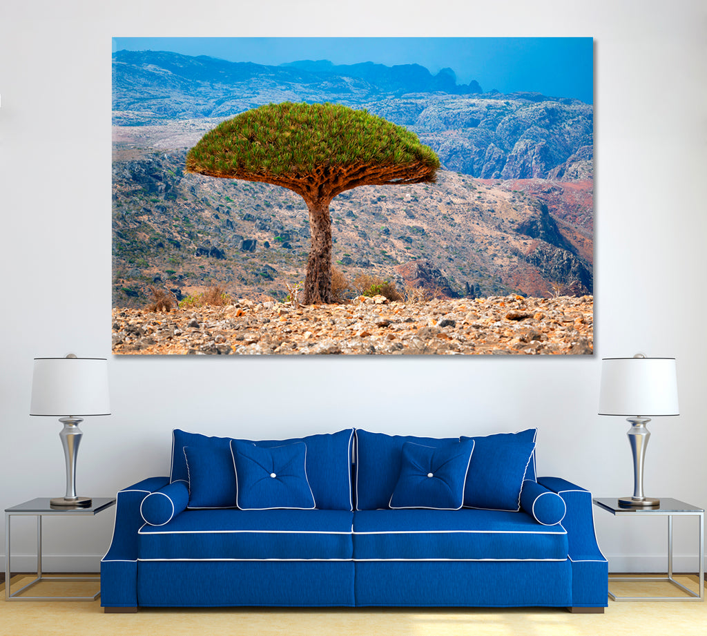 Dragon Tree Socotra Yemen Canvas Print ArtLexy 1 Panel 24"x16" inches 