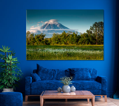 Chamomile Field and Koryak Volcano Kamchatka Canvas Print ArtLexy 1 Panel 24"x16" inches 