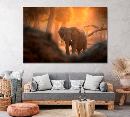 Elephant at Mana Pools National Park Zimbabwe Africa Canvas Print ArtLexy 1 Panel 24"x16" inches 