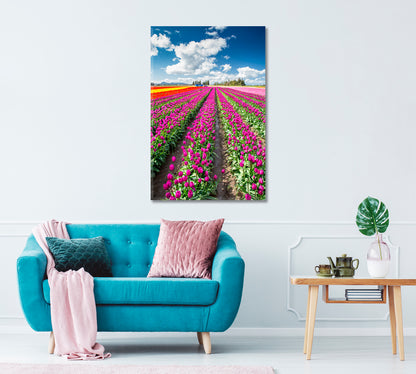 Tulip Field Washington Canvas Print ArtLexy   