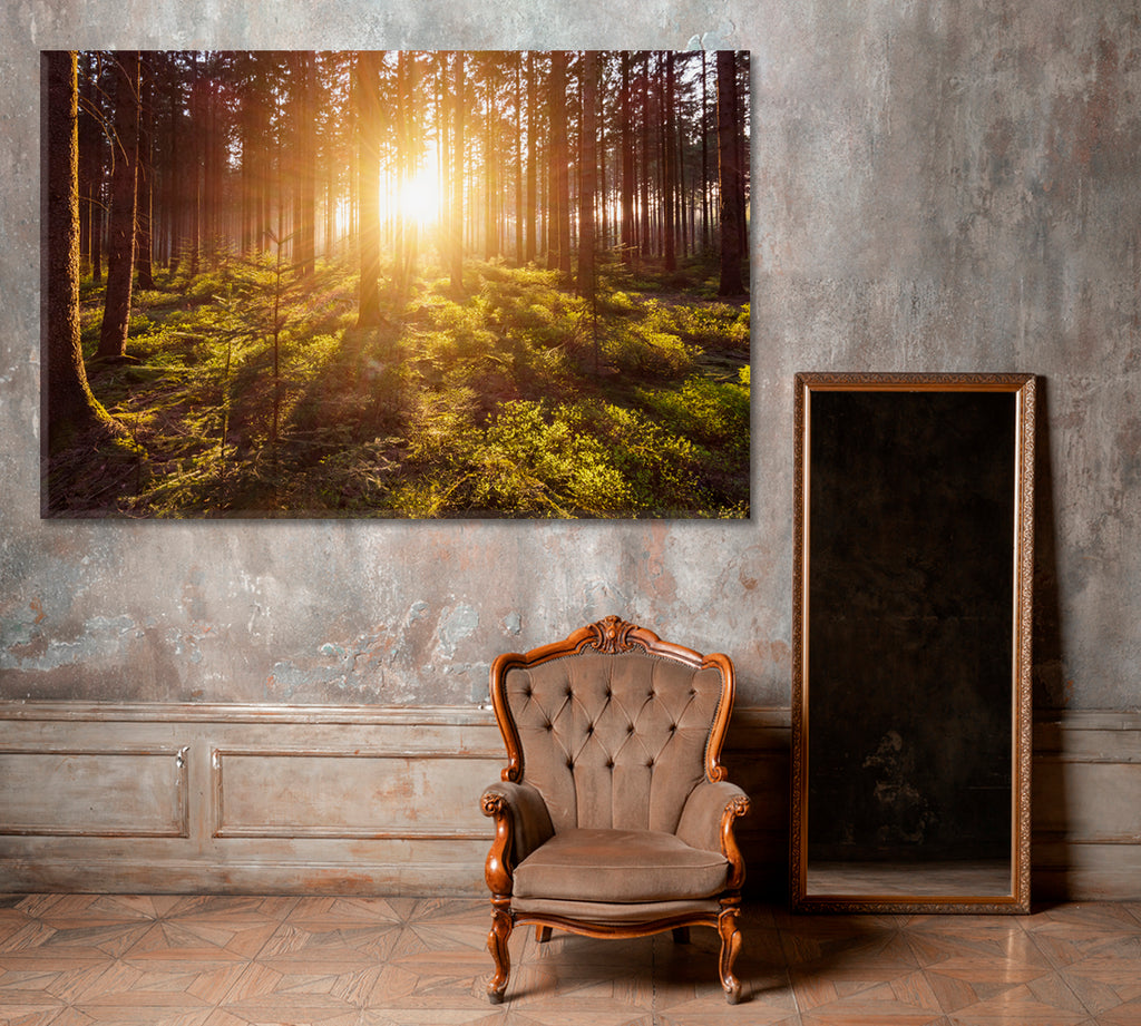 Deep Forest with Sun Rays Canvas Print ArtLexy 1 Panel 24"x16" inches 