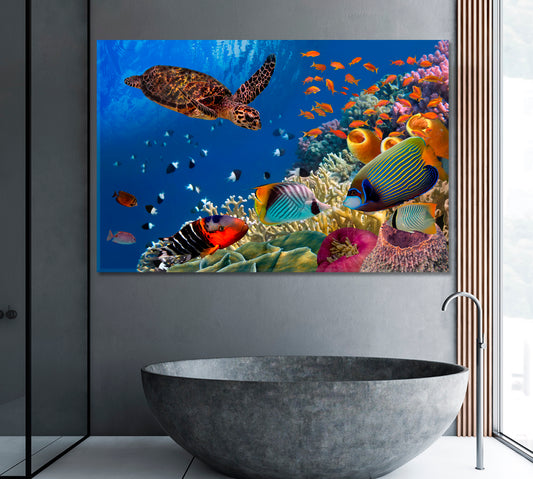 Red Sea Colorful Coral Reef with Fishes and Turtle Egypt Canvas Print ArtLexy 1 Panel 24"x16" inches 