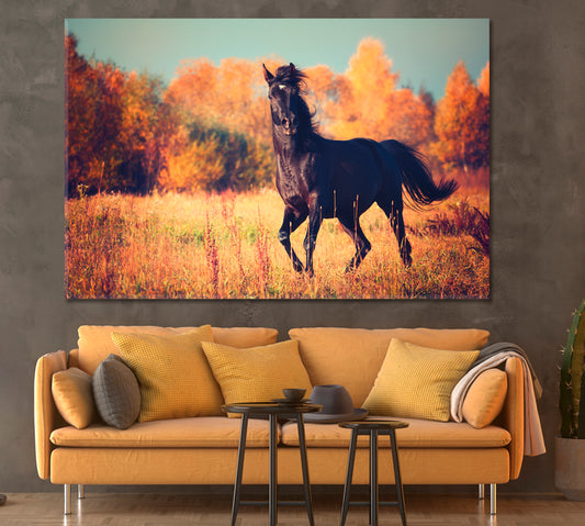 Black Arabian Horse Canvas Print ArtLexy 1 Panel 24"x16" inches 