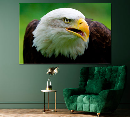 Bald Eagle Portrait Canvas Print ArtLexy 1 Panel 24"x16" inches 
