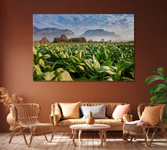 Tobacco Plantation Vinales Cuba Canvas Print ArtLexy 1 Panel 24"x16" inches 