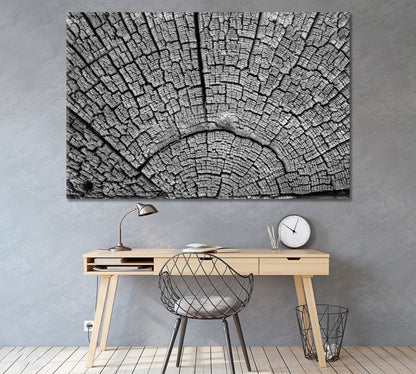 Cracked Old Tree Canvas Print ArtLexy 1 Panel 24"x16" inches 