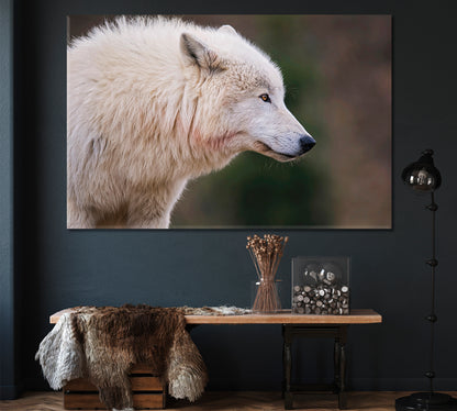 Arctic Wolf Canvas Print ArtLexy 1 Panel 24"x16" inches 