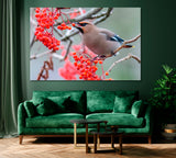 Bohemian Waxwings Bird Eating Rowan Berries Canvas Print ArtLexy 1 Panel 24"x16" inches 