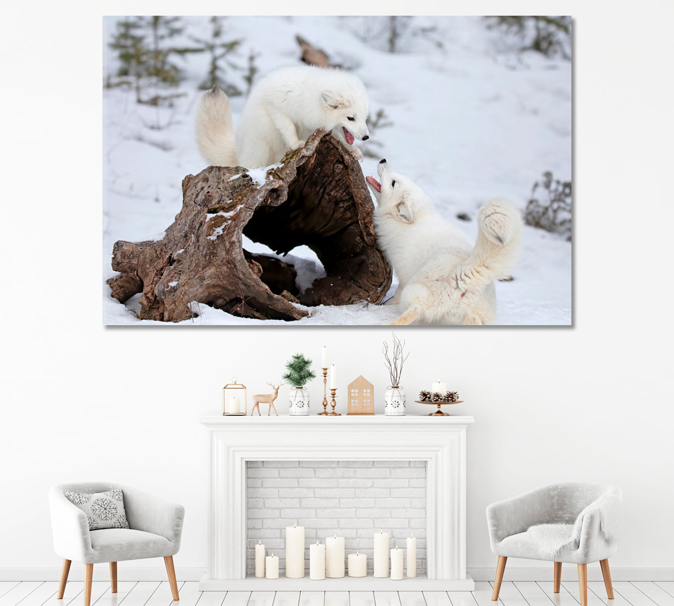 Two Arctic Fox Playing in Snow Montana USA Canvas Print ArtLexy 1 Panel 24"x16" inches 