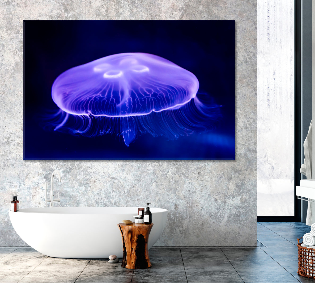 Moon Jellyfish (Aurelia aurita) Canvas Print ArtLexy 1 Panel 24"x16" inches 