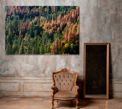 Pine Trees Forest in Autumn Canvas Print ArtLexy 1 Panel 24"x16" inches 