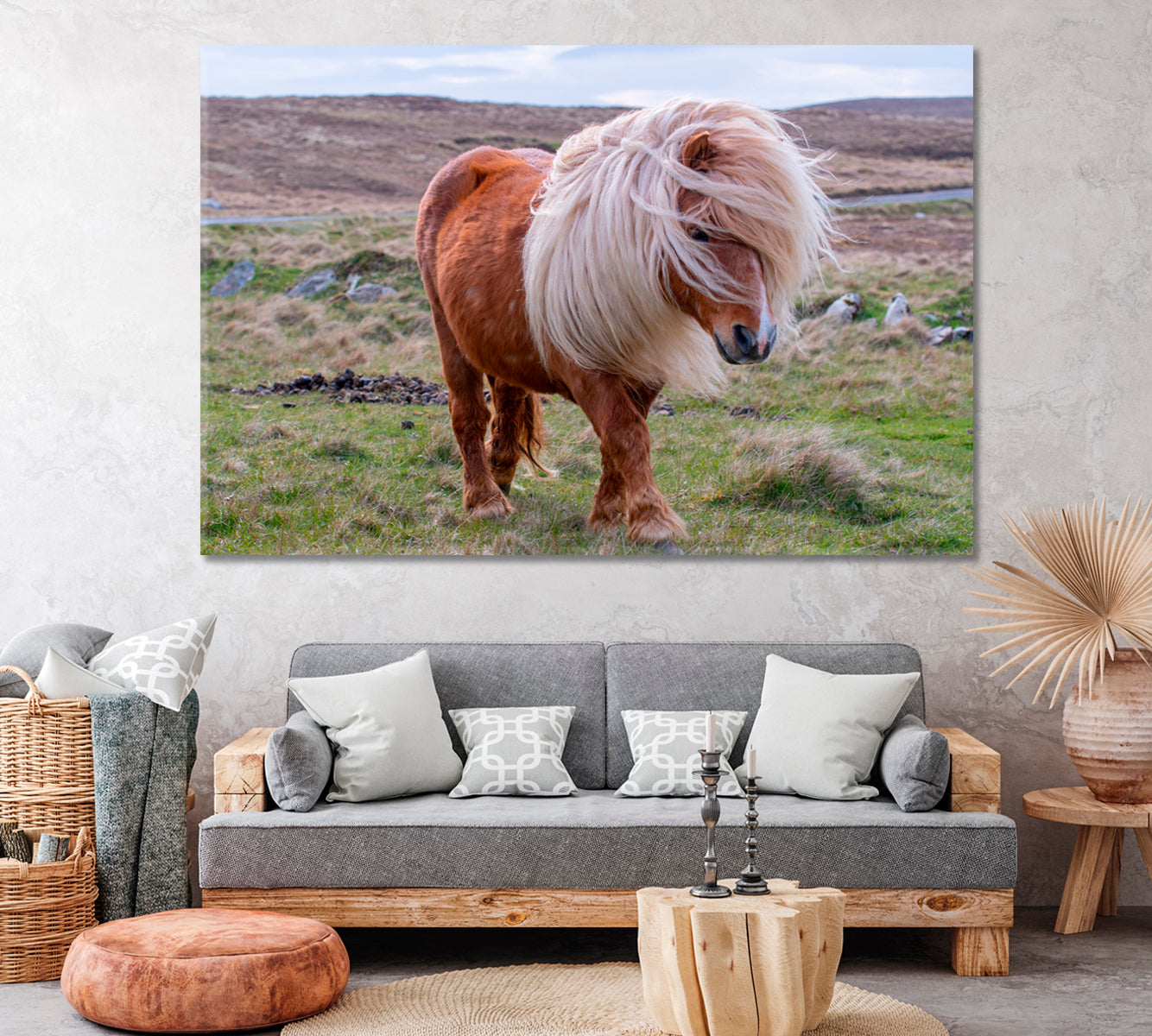 Shetland Pony on Scottish Moor Canvas Print ArtLexy 1 Panel 24"x16" inches 