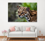 Margay Wild Cat Canvas Print ArtLexy 1 Panel 24"x16" inches 