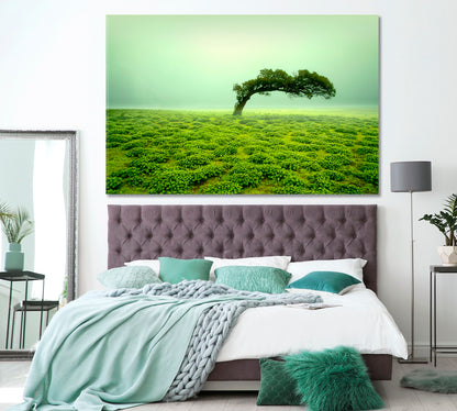 Beautiful Landscape with Lonely Tree Kaas Plateau India Canvas Print ArtLexy 1 Panel 24"x16" inches 