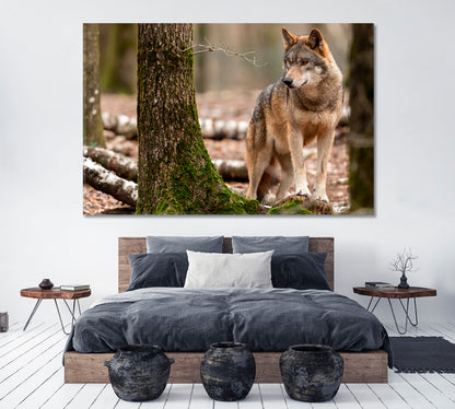Angry Gray Wolf Canvas Print ArtLexy 1 Panel 24"x16" inches 