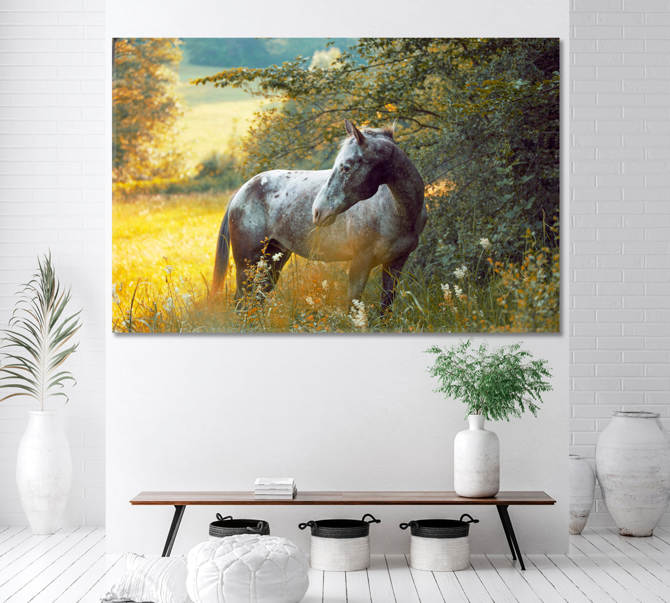 Appaloosa Horse Canvas Print ArtLexy 1 Panel 24"x16" inches 