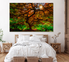 Japanese Maple Tree in Portland Japanese Garden Canvas Print ArtLexy 1 Panel 24"x16" inches 