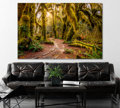 Hoh Rainforest Canvas Print ArtLexy 1 Panel 24"x16" inches 