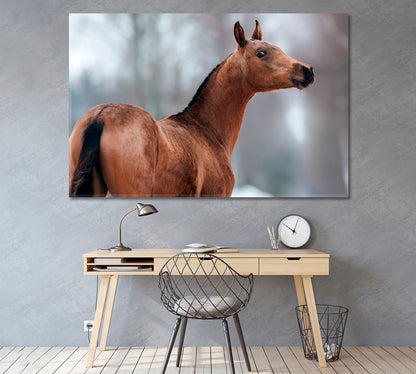 Brown Akhal-Teke Horse Canvas Print ArtLexy 1 Panel 24"x16" inches 