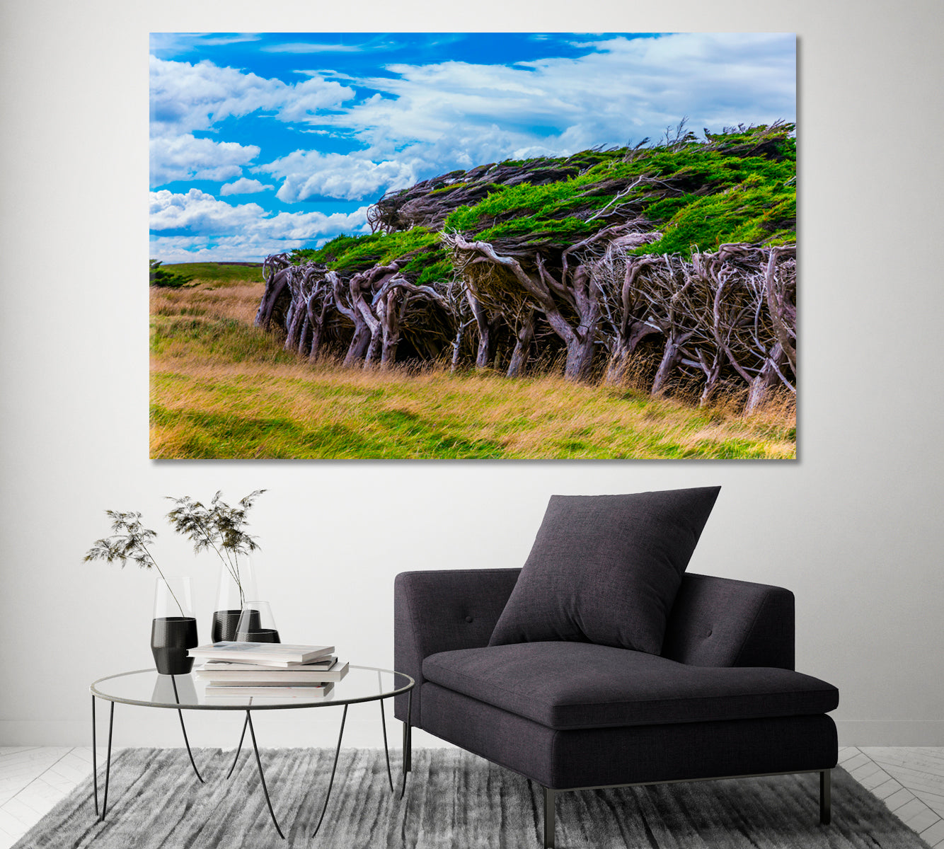 Slope Point Forest Canvas Print ArtLexy 1 Panel 24"x16" inches 