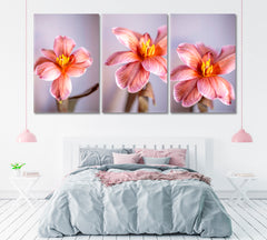 Set of 3 Blooming Tulips Canvas Print ArtLexy   