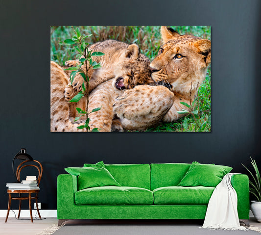 Lions Playing in Kenya Lake Nakuru National Park Canvas Print ArtLexy   