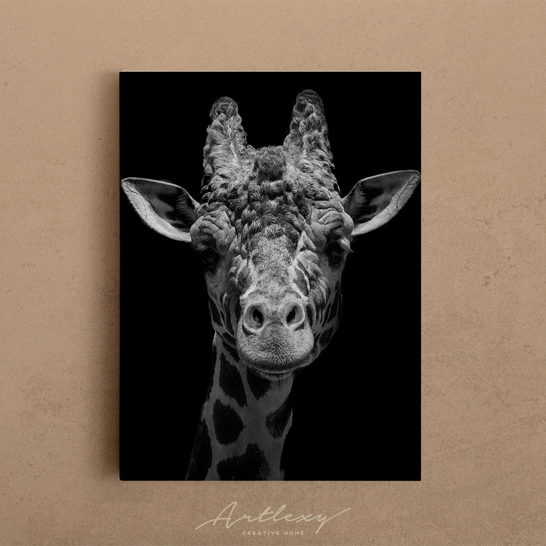 Giraffe Portrait Canvas Print ArtLexy   