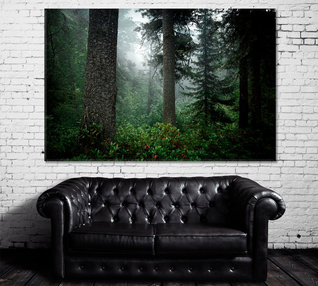 Coniferous Trees in Forest of Taiga Siberia Russia Canvas Print ArtLexy 1 Panel 24"x16" inches 