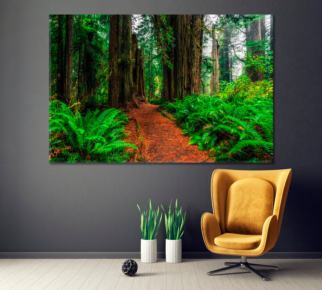 Redwood Forest at Redwoods National and State Parks in California Canvas Print ArtLexy 1 Panel 24"x16" inches 