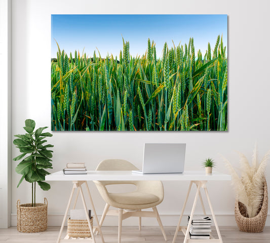 Green Wheat Field Canvas Print ArtLexy 1 Panel 24"x16" inches 
