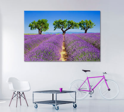 Lavender Fields of Provence France Canvas Print ArtLexy 1 Panel 24"x16" inches 