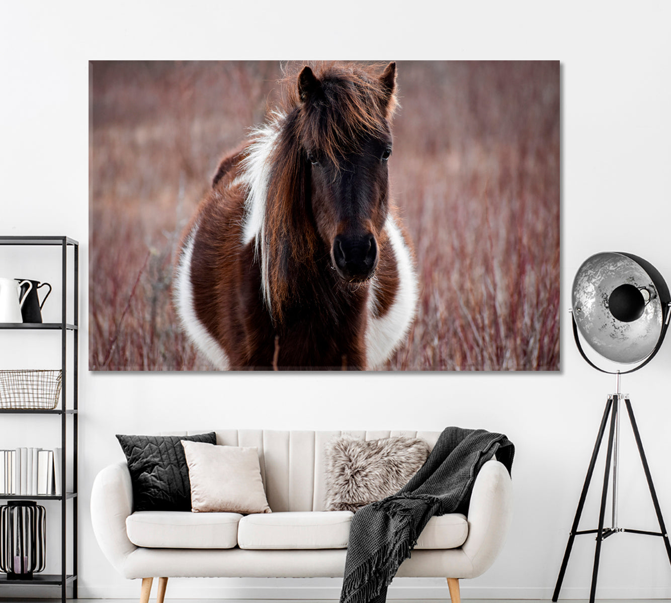 Wild Pony in Grayson Highlands Virginia Canvas Print ArtLexy 1 Panel 24"x16" inches 