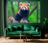 Red Panda Canvas Print ArtLexy 1 Panel 24"x16" inches 