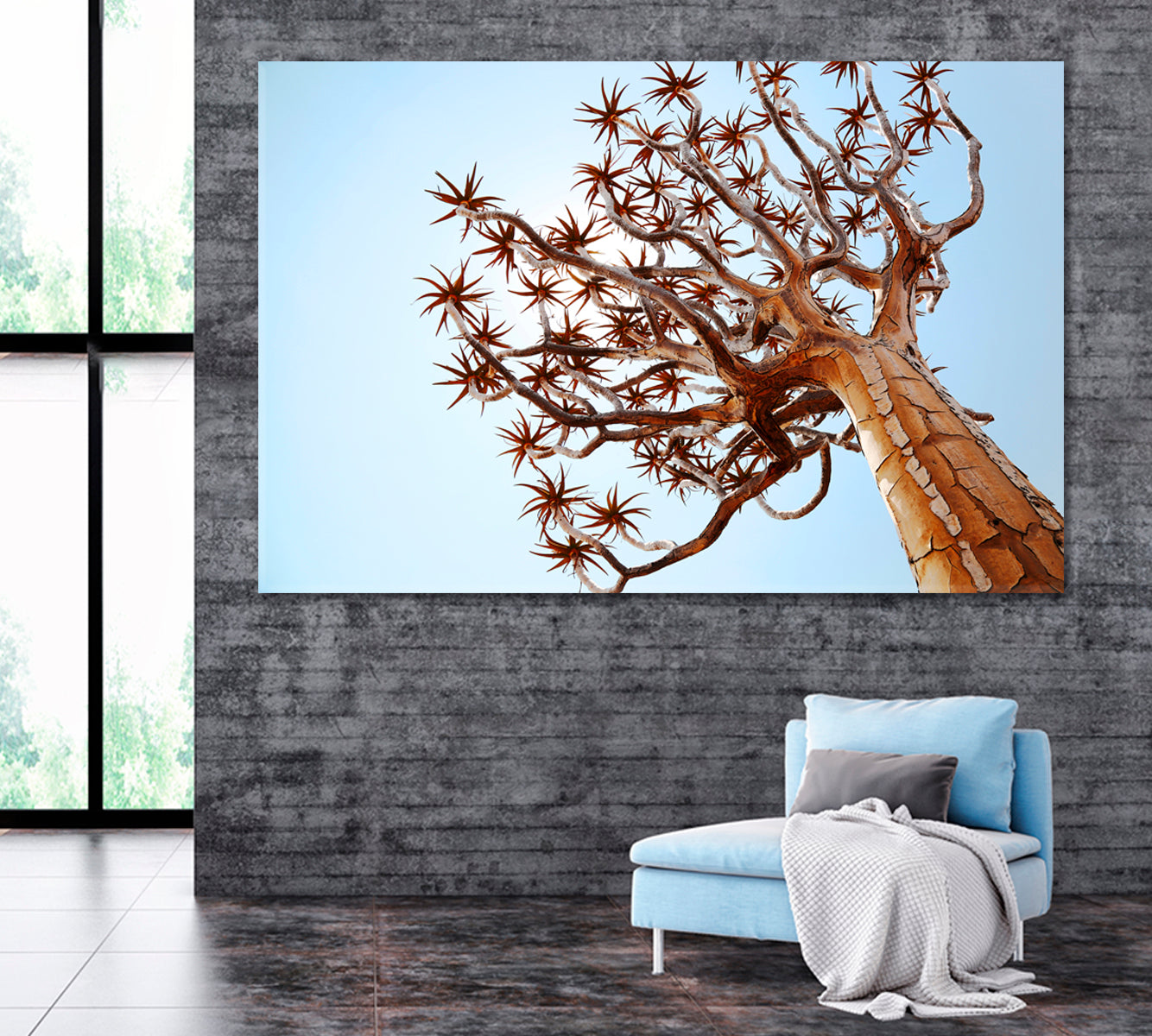 Quiver Tree Namibia Canvas Print ArtLexy 1 Panel 24"x16" inches 