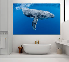 Humpback Whale Tonga Canvas Print ArtLexy 1 Panel 24"x16" inches 