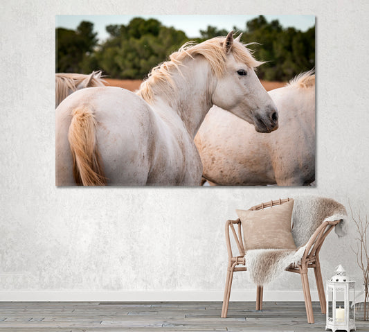 Herd of White Horses Camargue France Canvas Print ArtLexy 1 Panel 24"x16" inches 